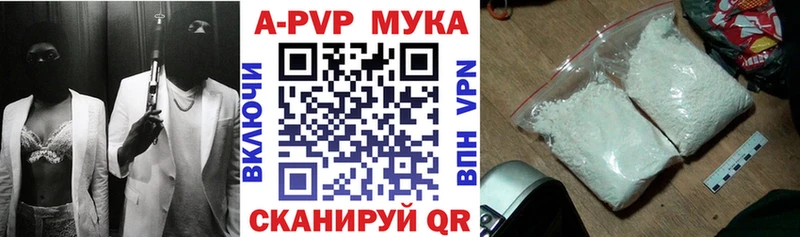 Альфа ПВП СК КРИС  OMG маркетплейс  Беслан 