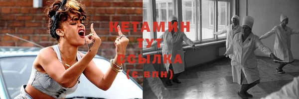 гашик Алексин