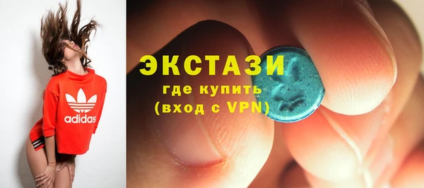 гашик Алексин
