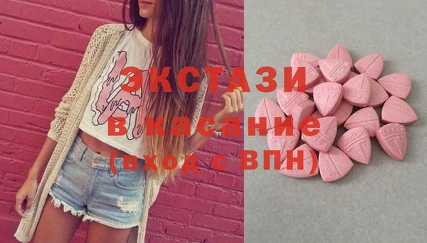 гашик Алексин