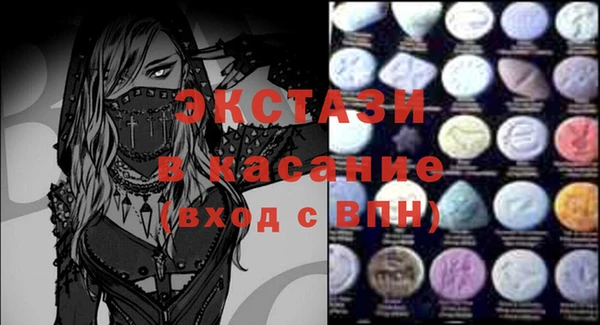 гашик Алексин