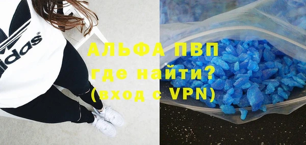 гашик Алексин