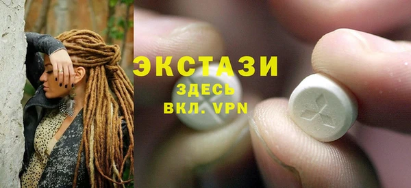 гашик Алексин